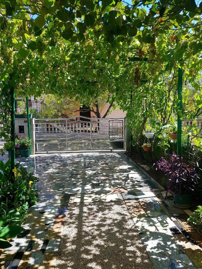 Apartments Petar & Anka Biograd Na Moru Exterior foto